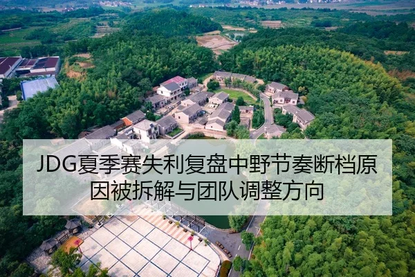 JDG夏季赛失利复盘中野节奏断档原因被拆解与团队调整方向